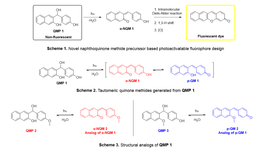 applications of QMP analogs as fluorophores for imaging techniques