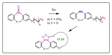 Diagram of macrocyle