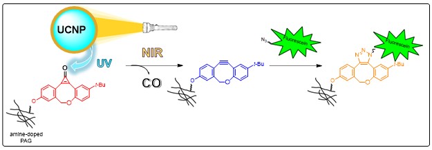 Illustration of process employing upconversion nanoparticles (UCNPs) and photoactive cyclopropenones 